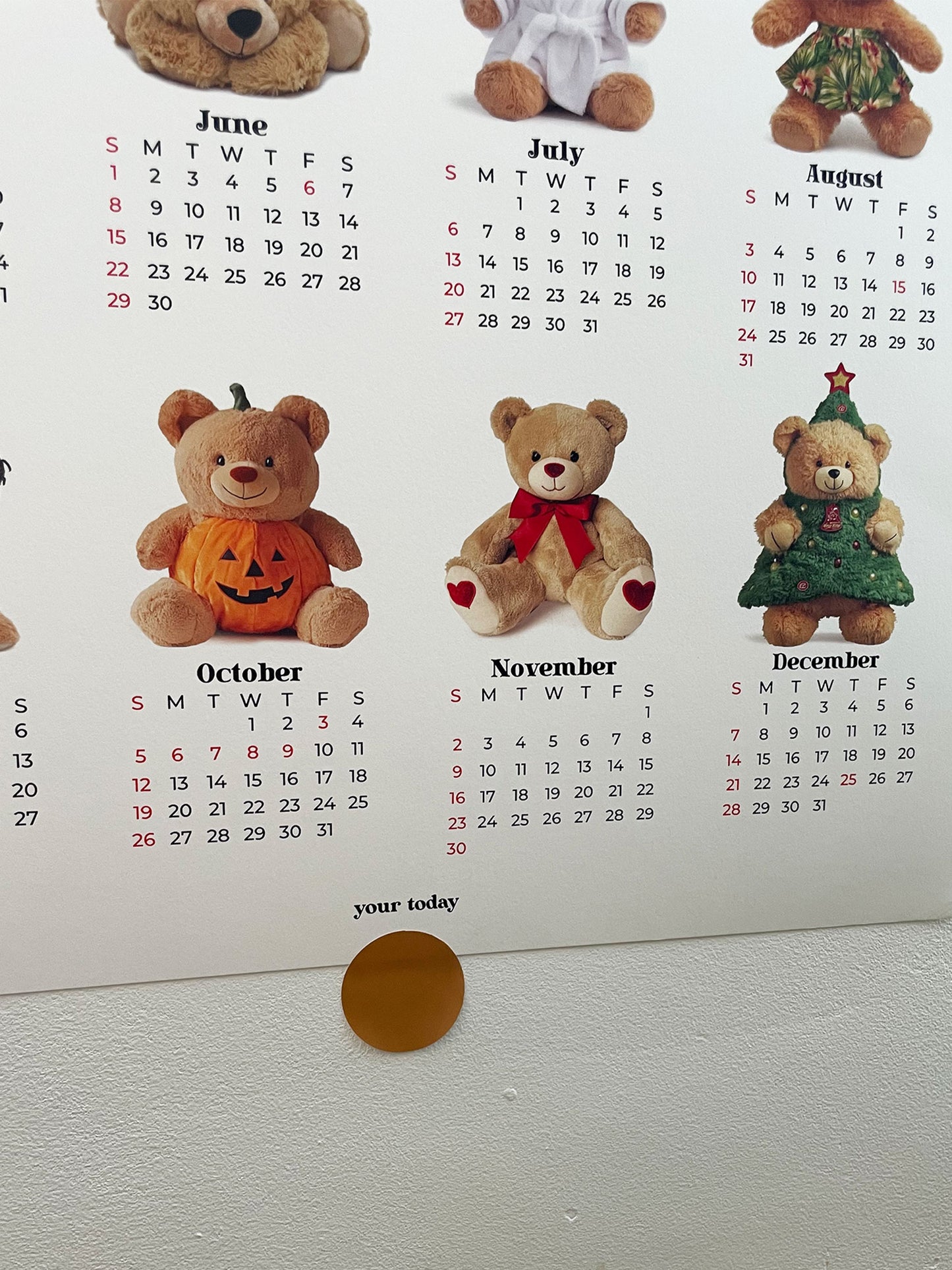 Bears 2025 Calendar Poster